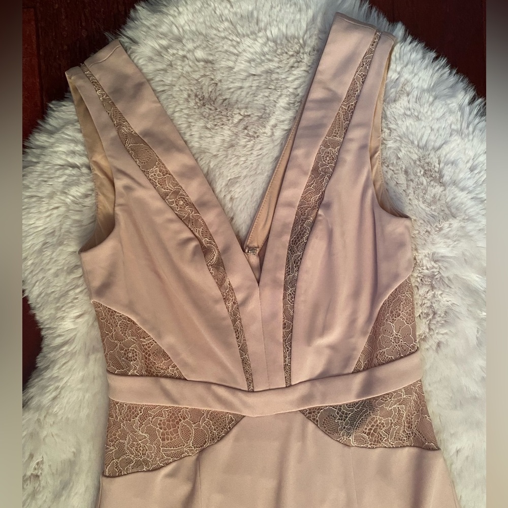 BRAND NEW BCBG Maxazria gown